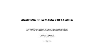 ANATOMIA DE LA MAMA Y DE LA AXILA
ANTONIO DE JESUS GOMEZ SANCHEZ R1CG
CIRUGIA GENERAL
22.05.23
 