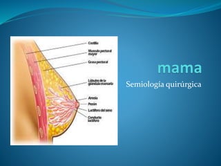 Semiología quirúrgica
 