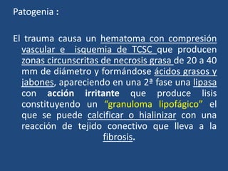 Patogenia :
El trauma causa un hematoma con compresión
vascular e isquemia de TCSC que producen
zonas circunscritas de necrosis grasa de 20 a 40
mm de diámetro y formándose ácidos grasos y
jabones, apareciendo en una 2ª fase una lipasa
con acción irritante que produce lisis
constituyendo un “granuloma lipofágico” el
que se puede calcificar o hialinizar con una
reacción de tejido conectivo que lleva a la
fibrosis.
 