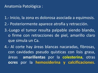 Anatomía Patológica :
1.- Inicio, la zona es dolorosa asociada a equimosis.
2.- Posteriormente aparece atrofia y retracción.
3.-Luego el tumor resulta palpable siendo blando,
o firme con retracciones de piel, amarillo claro
que simula un Ca.
4.- Al corte hay áreas blancas nacaradas, fibrosas,
con cavidades pseudo quísticas con lisis grasa,
áreas amarillentas por la colesterina, otras
ocres por la hemosiderina y calcificaciones.
 