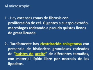 Al microscopio:
1.- Hay extensas zonas de fibrosis con
proliferación de cel. Gigantes a cuerpo extraño,
macrófagos rodeando a pseudo quistes llenos
de grasa licuada.
2.- Tardíamente hay cicatrización colagenosa con
presencia de histiocitos granulosos rodeados
de “quistes de aceite” de diferentes tamaños,
con material lípido libre por necrosis de los
lipocitos.
 
