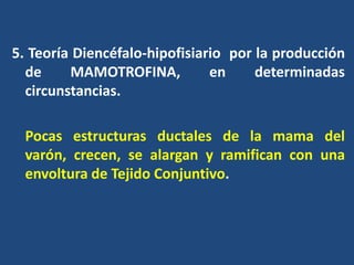 5. Teoría Diencéfalo-hipofisiario por la producción
de MAMOTROFINA, en determinadas
circunstancias.
Pocas estructuras ductales de la mama del
varón, crecen, se alargan y ramifican con una
envoltura de Tejido Conjuntivo.
 