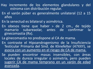 Hay incremento de los elementos glandulares y del
estroma con distribución regular.
En el varón púber es generalmente unilateral (12 a 15
años
En la senectud es bilateral y asimétrica.
En obesos tiene que haber > de 2 cm., de tejido
mamario subareaolar, antes de confirmar la
ginecomastia (Rx).
La ginecomastia no predispone al CA de mama.
En contraste el Hipoandrogenismo de la Insuficiencia
Testicular Primaria del Sind. de Klinefelter (47XXY), se
asocia con un aumento en el riesgo de CA de mama.
Se pueden encontrar masas insensibles, con áreas
locales de dureza irregular o asimetría, pero pueden
sugerir CA de mama temprano en un varón de edad
avanzada.
 