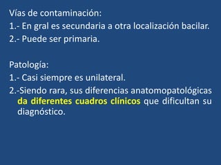 Vías de contaminación:
1.- En gral es secundaria a otra localización bacilar.
2.- Puede ser primaria.
Patología:
1.- Casi siempre es unilateral.
2.-Siendo rara, sus diferencias anatomopatológicas
da diferentes cuadros clínicos que dificultan su
diagnóstico.
 