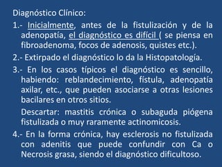 Diagnóstico Clínico:
1.- Inicialmente, antes de la fistulización y de la
adenopatía, el diagnóstico es difícil ( se piensa en
fibroadenoma, focos de adenosis, quistes etc.).
2.- Extirpado el diagnóstico lo da la Histopatología.
3.- En los casos típicos el diagnóstico es sencillo,
habiendo: reblandecimiento, fístula, adenopatía
axilar, etc., que pueden asociarse a otras lesiones
bacilares en otros sitios.
Descartar: mastitis crónica o subaguda piógena
fistulizada o muy raramente actinomicosis.
4.- En la forma crónica, hay esclerosis no fistulizada
con adenitis que puede confundir con Ca o
Necrosis grasa, siendo el diagnóstico dificultoso.
 