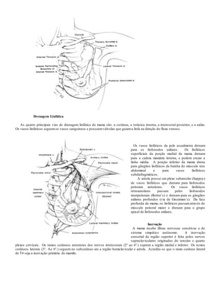 Drenagem Linfática
As quatro principais vias de drenagem linfática da mama são: a cutânea, a torácica interna, a intercostal posterior, e a axilar.
Os vasos linfáticos seguemos vasos sanguíneos e possuemválvulas que guiama linfa na direção do fluxo venoso.
Os vasos linfáticos da pele usualmente drenam
para os linfonodos axilares. Os linfáticos
superficiais da porção medial da mama drenam
para a cadeia mamária interna, e podem cruzar a
linha média. A porção inferior da mama drena
para gânglios linfáticos da bainha do músculo reto
abdominal e para vasos linfáticos
subdiafragmáticos.
A aréola possui um plexo subareolar (Sappey)
de vasos linfáticos que drenam para linfonodos
peitorais anteriores. Os vasos linfáticos
retroareolares passam pelos linfonodos
interpeitorais (Rotter`s) e drenam para os gânglios
axilares profundos (via de Grozzman`s). Da face
profunda da mama, os linfáticos passamatravés do
músculo peitoral maior e drenam para o grupo
apical de linfonodos axilares.
Inervação
A mama recebe fibras nervosas sensitivas e do
sistema simpático autônomo. A inervação
sensorial da região superior é feita pelos nervos
supraclaviculares originados do terceiro e quarto
plexos cervicais. Os ramos cutâneos anteriores dos nervos intercostais (2° ao 6°.) suprem a região medial e inferior. Os ramos
cutâneos laterais (3°. Ao 6°.) seguem no subcutâneo ate a região hemiclavicular e aréola. Acredita-se que o ramo cutâneo lateral
de T4 seja a inervação primária do mamilo.
 