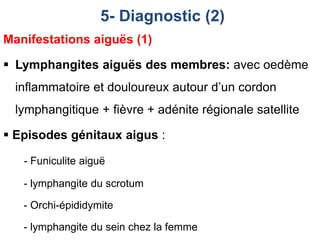 Manifestations aiguës (1)
 Lymphangites aiguës des membres: avec oedème
inflammatoire et douloureux autour d’un cordon
lymphangitique + fièvre + adénite régionale satellite
 Episodes génitaux aigus :
- Funiculite aiguë
- lymphangite du scrotum
- Orchi-épididymite
- lymphangite du sein chez la femme
5- Diagnostic (2)
 