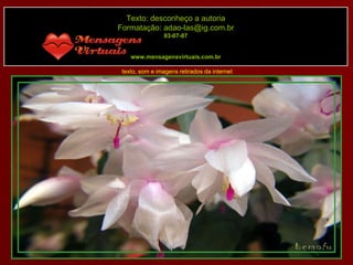 Texto: desconheço a autoria Formatação: adao-las@ig.com.br 03-07-07 www.mensagensvirtuais.com.br texto, som e imagens retirados da internet 