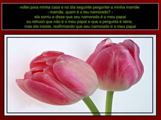voltei para minha casa e no dia seguinte perguntei a minha mamãe  - mamãe, quem é o teu namorado? - ela sorriu e disse que seu namorado é o meu papai eu retruco que não é o meu papai e que a pergunta é séria,  mas ela insiste, reafirmando que seu namorado é o meu papai 