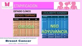 ESTADIO CLÍNICO
ESTADIO T N M
EC 0 Tis N0 M0
EC IA T1 N0 M0
EC IB T0
T1
N1mi
N1mi
M0
M0
EC IIA T0
T1
T2
N1
N1
N0
M0
M0
M0
EC IIB T2 N1 M0
ESTADIO T N M
EC IIB T3 N0 M0
EC IIIA T0
T1
T2
T3
T3
N2
N2
N2
N1
N2
M0
M0
M0
M0
M0
EC IIIB T4
T4
T4
N0
N1
N2
Mo
Mo
M0
EC IIIC Cualquier T N3 M0
EC IV Cualquier T Cualquier N M1
 
