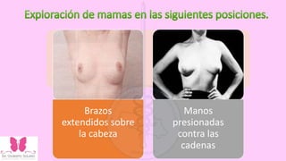 Brazos
extendidos sobre
la cabeza
Manos
presionadas
contra las
cadenas
 