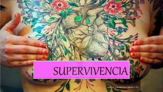 A New York Times feature story, dated Nov 3, 1912
 