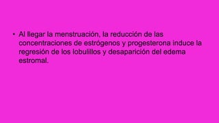 • Al llegar la menstruación, la reducción de las
concentraciones de estrógenos y progesterona induce la
regresión de los lobulillos y desaparición del edema
estromal.
 