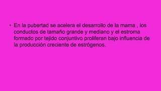 • En la pubertad se acelera el desarrollo de la mama , los
conductos de tamaño grande y mediano y el estroma
formado por tejido conjuntivo proliferan bajo influencia de
la producción creciente de estrógenos.
 