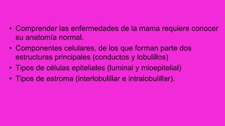 • Comprender las enfermedades de la mama requiere conocer
su anatomía normal.
• Componentes celulares, de los que forman parte dos
estructuras principales (conductos y lobulillos)
• Tipos de células epiteliales (luminal y mioepitelial)
• Tipos de estroma (interlobulillar e intralobulillar).
 