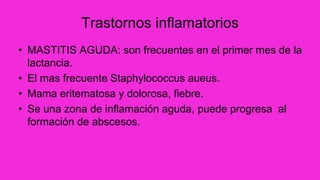 Trastornos inflamatorios
• MASTITIS AGUDA: son frecuentes en el primer mes de la
lactancia.
• El mas frecuente Staphylococcus aueus.
• Mama eritematosa y dolorosa, fiebre.
• Se una zona de inflamación aguda, puede progresa al
formación de abscesos.
 
