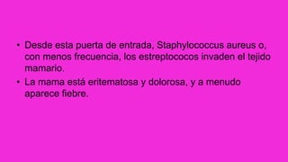 • Desde esta puerta de entrada, Staphylococcus aureus o,
con menos frecuencia, los estreptococos invaden el tejido
mamario.
• La mama está eritematosa y dolorosa, y a menudo
aparece fiebre.
 