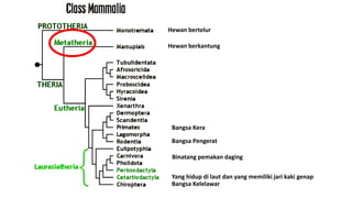Hewan bertelur
Hewan berkantung
Bangsa Pengerat
Binatang pemakan daging
Bangsa Kera
Bangsa Kelelawar
Yang hidup di laut dan yang memiliki jari kaki genap
 