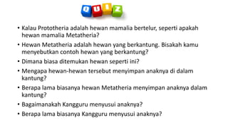 • Kalau Prototheria adalah hewan mamalia bertelur, seperti apakah
hewan mamalia Metatheria?
• Hewan Metatheria adalah hewan yang berkantung. Bisakah kamu
menyebutkan contoh hewan yang berkantung?
• Dimana biasa ditemukan hewan seperti ini?
• Mengapa hewan-hewan tersebut menyimpan anaknya di dalam
kantung?
• Berapa lama biasanya hewan Metatheria menyimpan anaknya dalam
kantung?
• Bagaimanakah Kangguru menyusui anaknya?
• Berapa lama biasanya Kangguru menyusui anaknya?
 