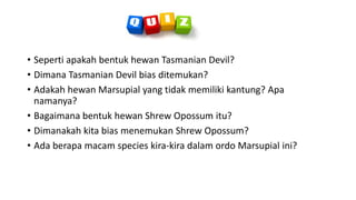 • Seperti apakah bentuk hewan Tasmanian Devil?
• Dimana Tasmanian Devil bias ditemukan?
• Adakah hewan Marsupial yang tidak memiliki kantung? Apa
namanya?
• Bagaimana bentuk hewan Shrew Opossum itu?
• Dimanakah kita bias menemukan Shrew Opossum?
• Ada berapa macam species kira-kira dalam ordo Marsupial ini?
 