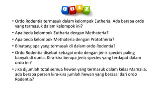 • Ordo Rodentia termasuk dalam kelompok Eutheria. Ada berapa ordo
yang termasuk dalam kelompok ini?
• Apa beda kelompok Eutharia dengan Methateria?
• Apa beda kelompok Methateria dengan Prototheria?
• Binatang apa yang termasuk di dalam ordo Rodentia?
• Ordo Rodentia disebut sebagai ordo dengan jenis species paling
banyak di dunia. Kira-kira berapa jenis species yang terdapat dalam
ordo ini?
• Jika dijumlah total semua hewan yang termasuk dalam kelas Mamalia,
ada berapa persen kira-kira jumlah hewan yang berasal dari ordo
Rodentia?
 