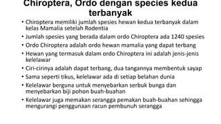 Chiroptera, Ordo dengan species kedua
terbanyak
• Chiroptera memiliki jumlah spesies hewan kedua terbanyak dalam
kelas Mamalia setelah Rodentia
• Jumlah spesies yang berada dalam ordo Chiroptera ada 1240 spesies
• Ordo Chiroptera adalah ordo hewan mamalia yang dapat terbang
• Hewan yang termasuk dalam ordo Chiroptera ini adalah jenis-jenis
kelelawar
• Ciri-cirinya adalah dapat terbang, dua tangannya membentuk sayap
• Sama seperti tikus, kelelawar ada di setiap belahan dunia
• Kelelawar berguna untuk menyebarkan serbuk bunga dan
menyebarkan biji pohon buah-buahan
• Kelelawar juga memakan serangga pemakan buah-buahan sehingga
mengurangi penggunaan racun pembunuh serangga
 