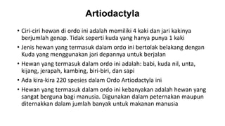 Artiodactyla
• Ciri-ciri hewan di ordo ini adalah memiliki 4 kaki dan jari kakinya
berjumlah genap. Tidak seperti kuda yang hanya punya 1 kaki
• Jenis hewan yang termasuk dalam ordo ini bertolak belakang dengan
Kuda yang menggunakan jari depannya untuk berjalan
• Hewan yang termasuk dalam ordo ini adalah: babi, kuda nil, unta,
kijang, jerapah, kambing, biri-biri, dan sapi
• Ada kira-kira 220 spesies dalam Ordo Artiodactyla ini
• Hewan yang termasuk dalam ordo ini kebanyakan adalah hewan yang
sangat berguna bagi manusia. Digunakan dalam peternakan maupun
diternakkan dalam jumlah banyak untuk makanan manusia
 