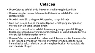Cetacea
• Ordo Cetacea adalah ordo hewan mamalia yang hidup di air
• Hewan yang termasuk dalam ordo Cetacea ini adalah Paus dan
Lumba-lumba
• Ordo ini memiliki paling sedikit spesies, hanya 90 saja
• Paus dan Lumba-lumba memiliki lapisan lemak yang menghindari
mereka dari air yang sangat dingin
• Paus dan Lumba-lumba adalah hewan yang sangat pandai. Hingga
terdapat aturan dunia yang melarang hewan ini untuk diburu karena
mereka lebih dari sekedar hewan
• Hewan Cetacea memerlukan udara untuk bernapas. Ketika menyelam
di air, lubang pernapasan mereka otomatis tertutup, dan terbuka
hanya ketika keluar dari air untuk menghembuskan karbondioksida
dan menarik oksigen
 