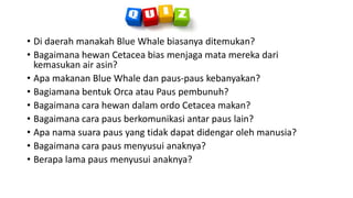 • Di daerah manakah Blue Whale biasanya ditemukan?
• Bagaimana hewan Cetacea bias menjaga mata mereka dari
kemasukan air asin?
• Apa makanan Blue Whale dan paus-paus kebanyakan?
• Bagiamana bentuk Orca atau Paus pembunuh?
• Bagaimana cara hewan dalam ordo Cetacea makan?
• Bagaimana cara paus berkomunikasi antar paus lain?
• Apa nama suara paus yang tidak dapat didengar oleh manusia?
• Bagaimana cara paus menyusui anaknya?
• Berapa lama paus menyusui anaknya?
 