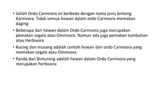 • Istilah Ordo Carnivora ini berbeda dengan nama jenis bintang
Karnivora. Tidak semua hewan dalam ordo Carnivora memakan
daging
• Beberapa dari hewan dalam Ordo Carnivora juga merupakan
pemakan segala atau Omnivora. Namun ada juga pemakan tumbuhan
atau Herbivora
• Kucing dan musang adalah contoh hewan dari ordo Carnivora yang
memakan segala atau Omnivora
• Panda dan Binturong adalah hewan dalam Ordo Carnivora yang
merupakan herbivora
 