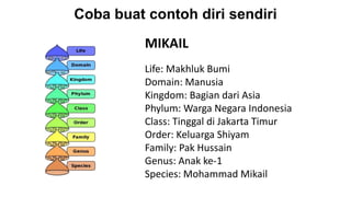 Coba buat contoh diri sendiri
MIKAIL
Life: Makhluk Bumi
Domain: Manusia
Kingdom: Bagian dari Asia
Phylum: Warga Negara Indonesia
Class: Tinggal di Jakarta Timur
Order: Keluarga Shiyam
Family: Pak Hussain
Genus: Anak ke-1
Species: Mohammad Mikail
 