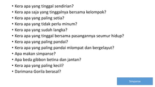 • Kera apa yang tinggal sendirian?
• Kera apa saja yang tinggalnya bersama kelompok?
• Kera apa yang paling setia?
• Kera apa yang tidak perlu minum?
• Kera apa yang sudah langka?
• Kera apa yang tinggal bersama pasangannya seumur hidup?
• Kera apa yang paling pandai?
• Kera apa yang paling pandai mlompat dan bergelayut?
• Apa makan simpanse?
• Apa beda gibbon betina dan jantan?
• Kera apa yang paling kecil?
• Darimana Gorila berasal?
Simpanse
 