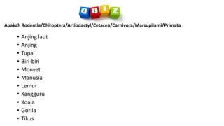 • Anjing laut
• Anjing
• Tupai
• Biri-biri
• Monyet
• Manusia
• Lemur
• Kangguru
• Koala
• Gorila
• Tikus
Apakah Rodentia/Chiroptera/Artiodactyl/Cetacea/Carnivora/Marsupilami/Primata
 