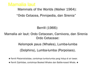 Mamalia laut
Mammals of the Worlds (Walker 1964):
“Ordo Cetacea, Pinnipedia, dan Sirenia”
Berrill (1966):
Mamalia air laut: Ordo Cetacean, Carnivora, dan Sirenia
Ordo Cetaceae:
Kelompok paus (Whales), Lumba-lumba
(Dolphins), Lumba-lumba (Porpoises).
◆ Famili Platanististidae, contohnya lumba-lumba yang hidup di air tawar.
◆ Famili Ziphilidae, contohnya Beaked Whales dan Battle-nosed Whale. ◆
 