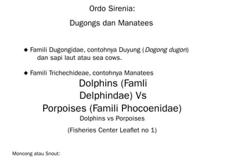 Ordo Sirenia:
Dugongs dan Manatees
◆ Famili Dugongidae, contohnya Duyung (Dogong dugon)
dan sapi laut atau sea cows.
◆ Famili Trichechideae, contohnya Manatees
Dolphins (Famli
Delphindae) Vs
Porpoises (Famili Phocoenidae)
Dolphins vs Porpoises
(Fisheries Center Leaflet no 1)
Moncong atau Snout:
 