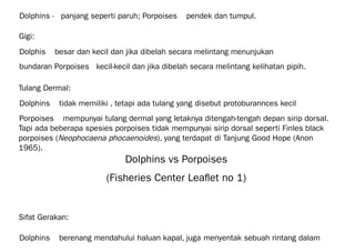 Dolphins -🡪 panjang seperti paruh; Porpoises 🡪 pendek dan tumpul.
Gigi:
Dolphis 🡪 besar dan kecil dan jika dibelah secara melintang menunjukan
bundaran Porpoises 🡪kecil-kecil dan jika dibelah secara melintang kelihatan pipih.
Tulang Dermal:
Dolphins 🡪 tidak memiliki , tetapi ada tulang yang disebut protoburannces kecil
Porpoises 🡪 mempunyai tulang dermal yang letaknya ditengah-tengah depan sirip dorsal.
Tapi ada beberapa spesies porpoises tidak mempunyai sirip dorsal seperti Finles black
porpoises (Neophocaena phocaenoides), yang terdapat di Tanjung Good Hope (Anon
1965).
Dolphins vs Porpoises
(Fisheries Center Leaflet no 1)
Sifat Gerakan:
Dolphins 🡪 berenang mendahului haluan kapal, juga menyentak sebuah rintang dalam
 