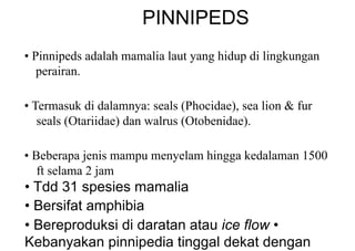 PINNIPEDS
• Pinnipeds adalah mamalia laut yang hidup di lingkungan
perairan.
• Termasuk di dalamnya: seals (Phocidae), sea lion & fur
seals (Otariidae) dan walrus (Otobenidae).
• Beberapa jenis mampu menyelam hingga kedalaman 1500
ft selama 2 jam
• Tdd 31 spesies mamalia
• Bersifat amphibia
• Bereproduksi di daratan atau ice flow •
Kebanyakan pinnipedia tinggal dekat dengan
 