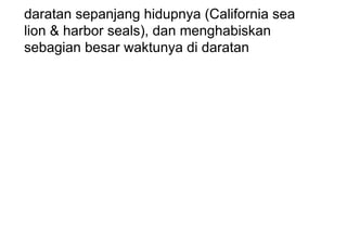 daratan sepanjang hidupnya (California sea
lion & harbor seals), dan menghabiskan
sebagian besar waktunya di daratan
 