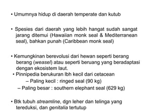 • Umumnya hidup di daerah temperate dan kutub
• Spesies dari daerah yang lebih hangat sudah sangat
jarang ditemui (Hawaiian monk seal & Mediterranean
seal), bahkan punah (Caribbean monk seal)
• Kemungkinan berevolusi dari hewan seperti berang
berang (weasel) atau seperti beruang yang beradaptasi
dengan ekosistem laut.
• Pinnipedia berukuran lbh kecil dari cetacean
– Paling kecil : ringed seal (90 kg)
– Paling besar : southern elephant seal (629 kg)
• Btk tubuh streamline, dgn leher dan telinga yang
tereduksi, dan genitalia tertutup
 