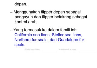 depan.
– Menggunakan flipper depan sebagai
pengayuh dan flipper belakang sebagai
kontrol arah.
– Yang termasuk ke dalam famili ini:
California sea lions, Steller sea lions,
Northern fur seals, dan Guadalupe fur
seals.
 
