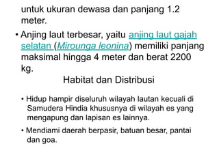 untuk ukuran dewasa dan panjang 1.2
meter.
• Anjing laut terbesar, yaitu anjing laut gajah
selatan (Mirounga leonina) memiliki panjang
maksimal hingga 4 meter dan berat 2200
kg.
Habitat dan Distribusi
• Hidup hampir diseluruh wilayah lautan kecuali di
Samudera Hindia khususnya di wilayah es yang
mengapung dan lapisan es lainnya.
• Mendiami daerah berpasir, batuan besar, pantai
dan goa.
 