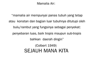 Mamalia Air:
“mamalia air mempunyai panas tubuh yang tetap
atau konstan dan bagian luar tubuhnya ditutupi oleh
bulu/rambut yang fungsinya sebagai penyekat:
penyebaran luas, baik tropis maupun sub-tropis
bahkan daerah dingin”
(Colbert 1949)
SEJAUH MANA KITA
 