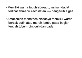 • Memiliki warna tubuh abu-abu, namun dapat
terlihat abu-abu kecoklatan ---- pengaruh algae.
• Amazonian manatees biasanya memiliki warna
bercak putih atau merah jambu pada bagian
tengah tubuh (pinggul) dan dada.
 
