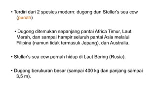 • Terdiri dari 2 spesies modern: dugong dan Steller's sea cow
(punah)
• Dugong ditemukan sepanjang pantai Africa Timur, Laut
Merah, dan sampai hampir seluruh pantai Asia melalui
Filipina (namun tidak termasuk Jepang), dan Australia.
• Stellar's sea cow pernah hidup di Laut Bering (Rusia).
• Dugong berukuran besar (sampai 400 kg dan panjang sampai
3,5 m).
 