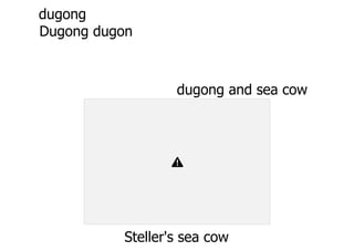 dugong
Dugong dugon
dugong and sea cow
Steller's sea cow
 