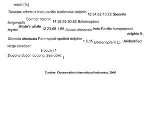 relatif (%)
Tursiops aduncus Indo-pacific bottlenose dolphin
18 34,62 10,72 Stenella
longorostis
Spinner dolphin
14 26,92 80,82 Balaenoptera
brydei
Bryde's whale
12 23,08 1,65 Sausa chinensis Indo-Pacific humpbacked
dolphin 5 -
Stenella attenuata Pantropical spotted dolphin
1 5,15 Balaenoptera sp. Unidentified
large cetacean
(roqual) 1
Dugong dugon dugong (sea cow)
1
Sumber: Conservation International Indonesia, 2006
 