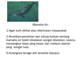 Mamalia Air:
1.Agak sulit dilihat atau ditemukan masyarakat
2.Penelitian-penelitian dan tulisan-tulisan tentang
mamalia air boleh dikatakan sangat dilalaikan, karena
menyangkut biaya yang besar, dan meliputi daerah
yang sangat luas.
3.Kurangnya tenaga ahli tersedia ataupun
 