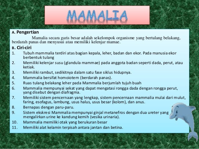 Mamalia Dan Aves Mamalia Dan Aves