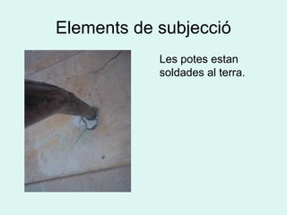 Elements de subjecció
Les potes estan
soldades al terra.
 