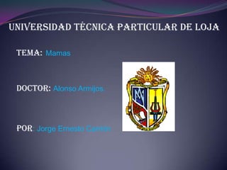 Universidad técnica particular de Loja Tema:Mamas Doctor: Alonso Armijos. Por: Jorge Ernesto Carrión 